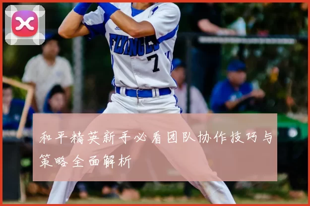 和平精英新手必看团队协作技巧与策略全面解析