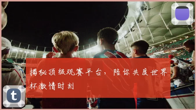 揭秘顶级观赛平台,陪你共度世界杯激情时刻