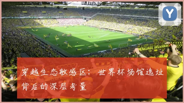穿越生态敏感区：世界杯场馆选址背后的深层考量