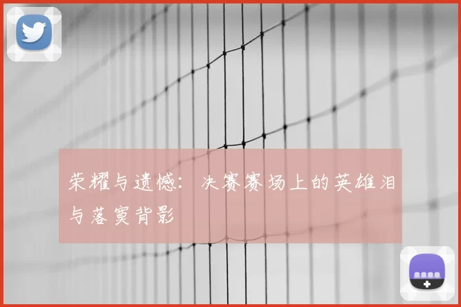 荣耀与遗憾:决赛赛场上的英雄泪与落寞背影