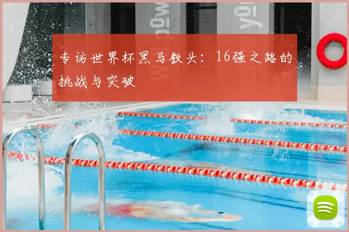 专访世界杯黑马教头：16强之路的挑战与突破