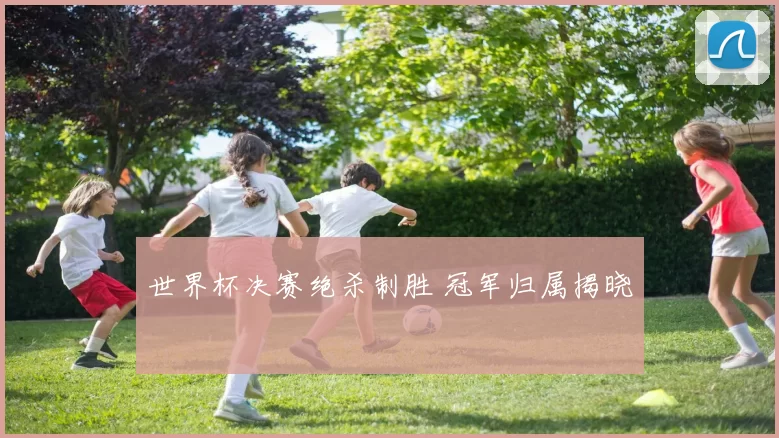 世界杯决赛绝杀制胜 冠军归属揭晓