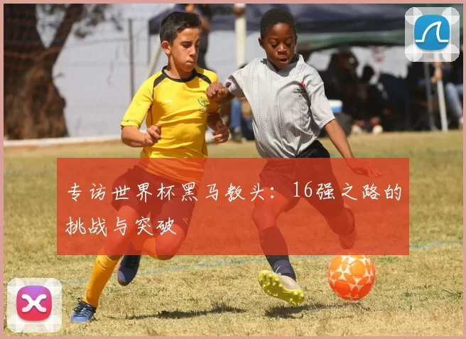 专访世界杯黑马教头:16强之路的挑战与突破