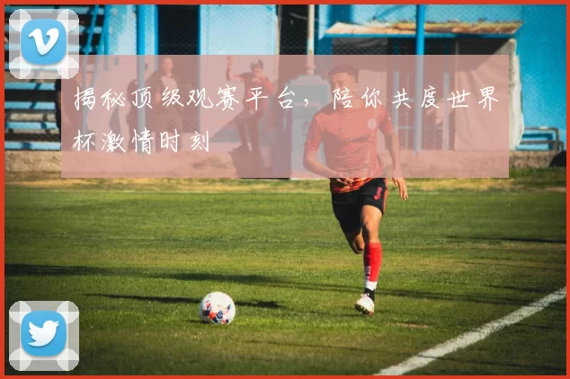 揭秘顶级观赛平台，陪你共度世界杯激情时刻