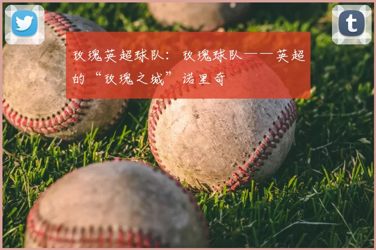 玫瑰英超球队：玫瑰球队——英超的“玫瑰之城”诺里奇